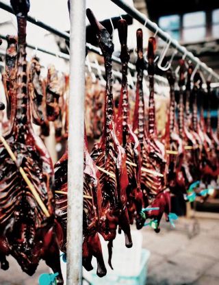 무료 고진에서의 노동 모범: 안창