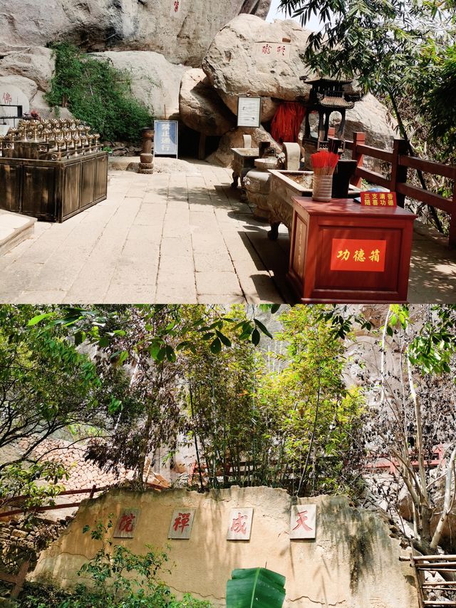 岩石清澈，樹木翠綠，茶香四溢，武夷山國家公園的真實體驗