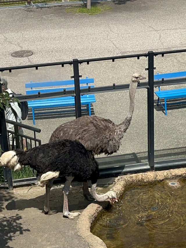 旭川動物園