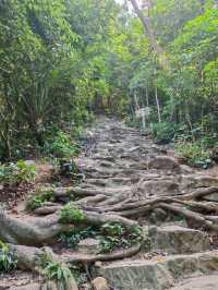 淺淺談一下深圳塘朗山mix梅林水庫徒步段