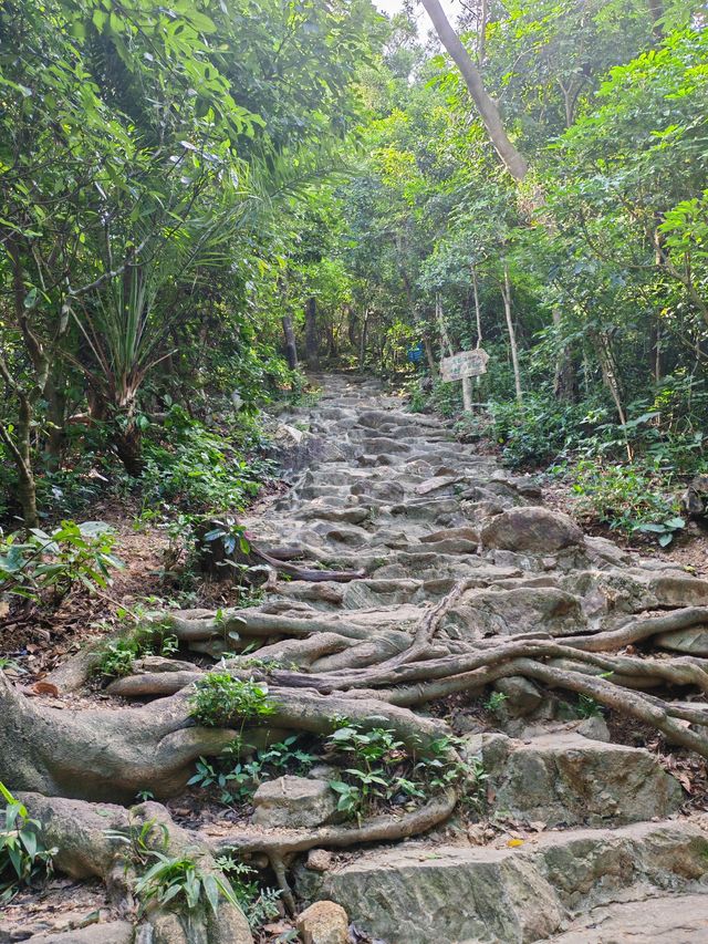 淺淺談一下深圳塘朗山mix梅林水庫徒步段 淺淺談一下深圳塘朗山mix梅林水庫徒步段
