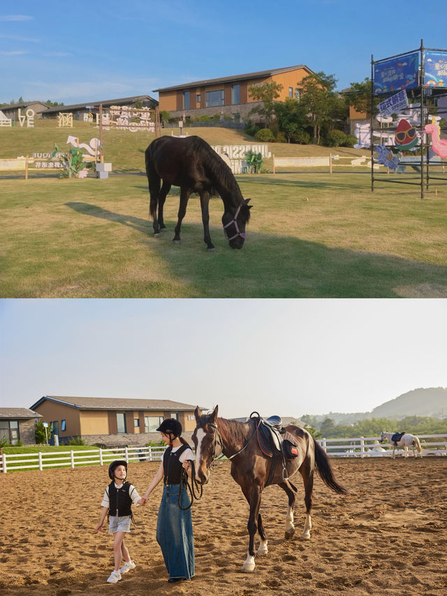 江浙滬一站式遛娃首選地 天目湖涵田度假村