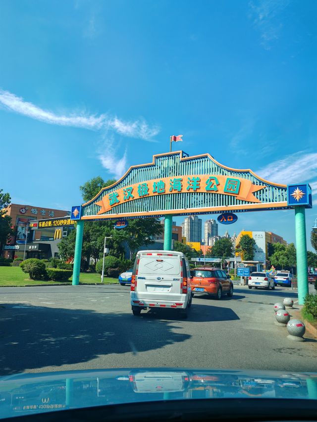 暑假帶娃嗨翻天，武漢極地海洋公園超全攻略來啦