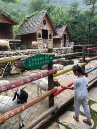 京郊遛娃好去處 坡峰嶺幽巒山童話森林