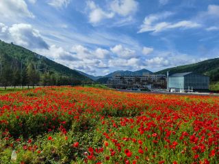 【Chongli】Summer Resort 5