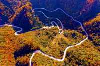 康養青山