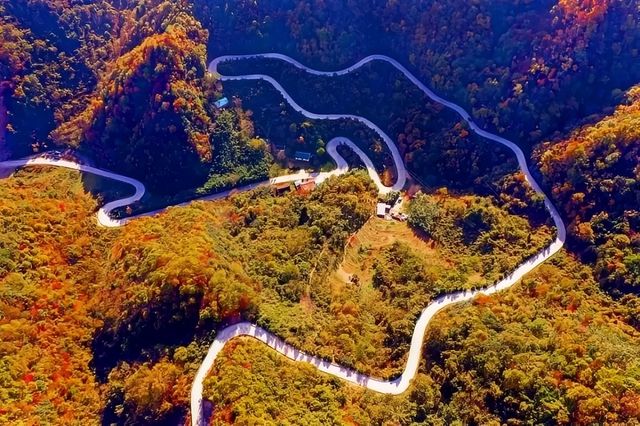 康養青山