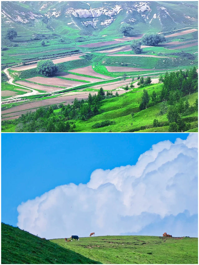 蔚縣之旅，你不知道的好玩之處