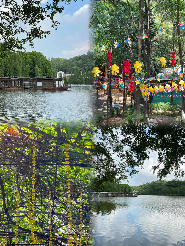 佛山三水森林公園｜免費感受天然氧吧