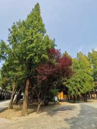 報恩禪寺