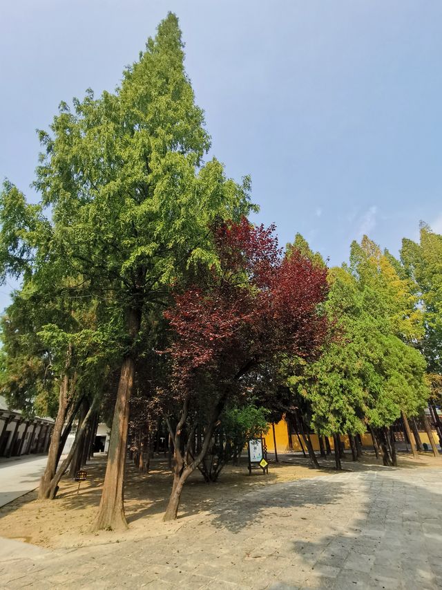 報恩禪寺