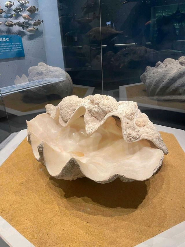 天津|國家海洋博物館～免費遛仔好去處。
