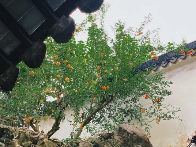 獨步征轲｜山水有情環秀。