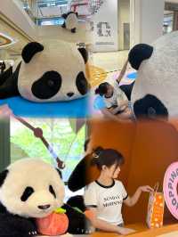 不是?!深圳你真的……