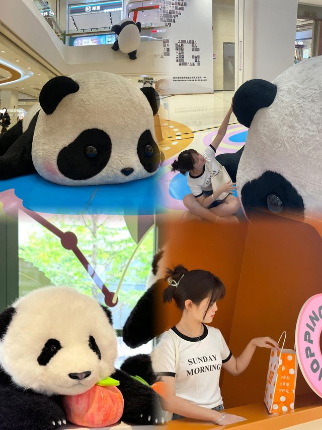 不是?!深圳你真的……