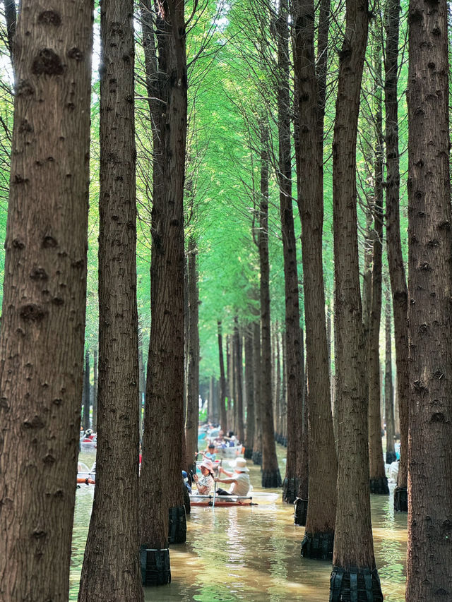 關於成都到昆明四日Citywalk深度親子遊攻略。