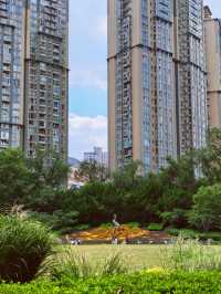 魔都綠寶石|中山公園。
