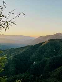 開車兩小時也要看的夕陽，在這座茶山。
