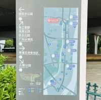 打卡廣州珠江边的磨碟沙公園😝😝