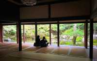 叡山電鐵「瑠璃光院」的途中可以去|蓮華寺。