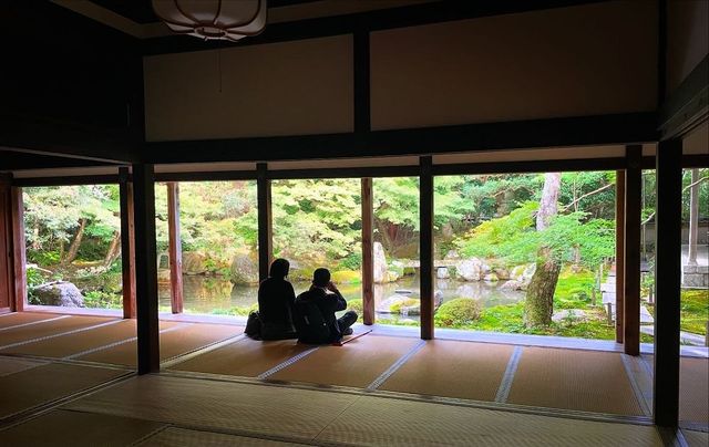 叡山電鐵「瑠璃光院」的途中可以去|蓮華寺。