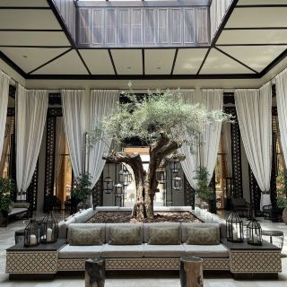 Оазис в пустыне🐪