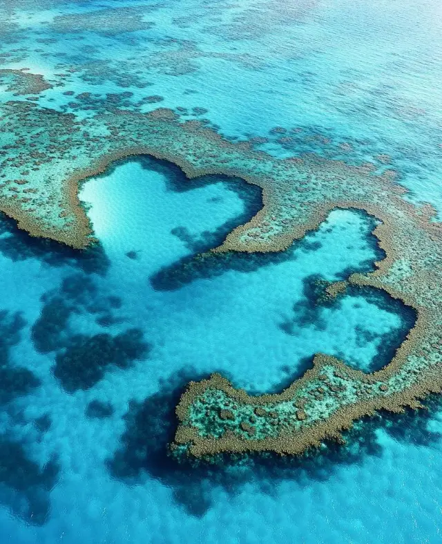 大堡礁旅遊攻略｜性價比拉滿。