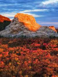 滿山紅遍日照金山紅葉谷太震撼了。