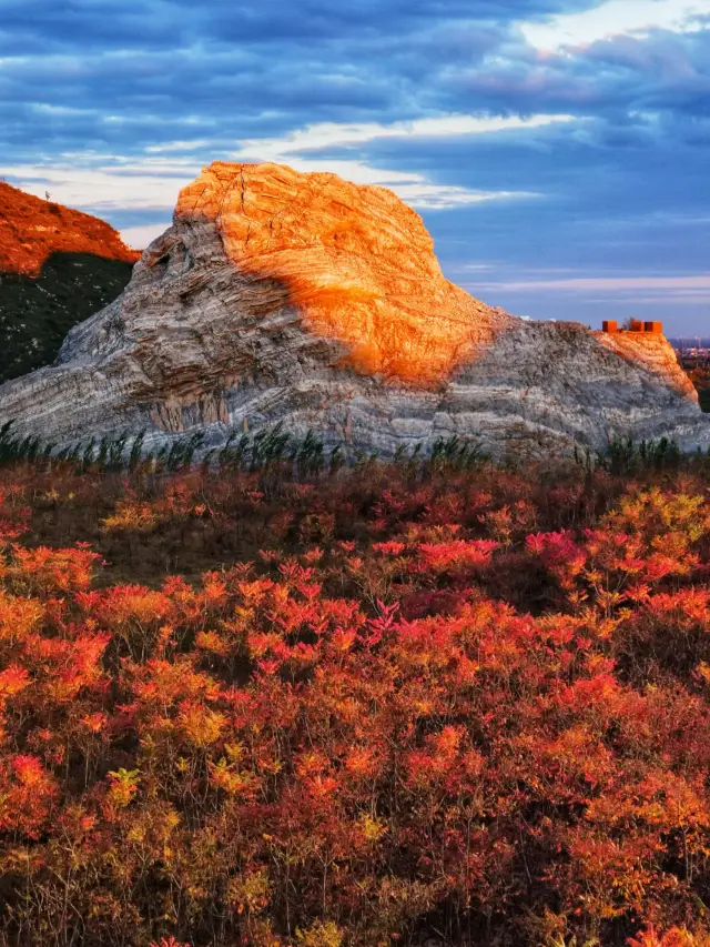 滿山紅遍日照金山紅葉谷太震撼了。