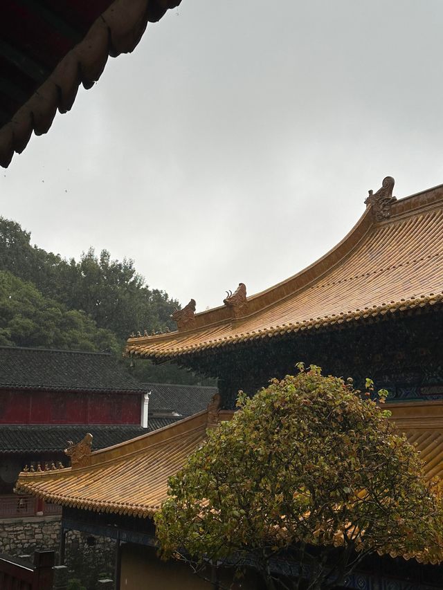 舟山法雨寺丨禮佛「皇家寺院」。