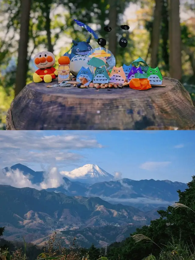 Tokyo Fall Leaf Viewing Guide: Mount Takao