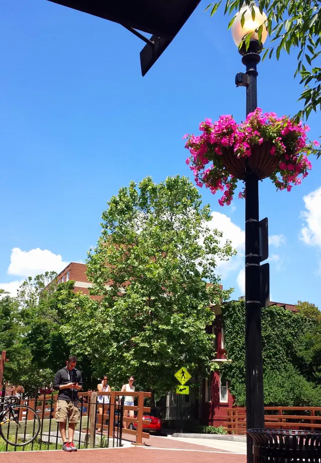 Georgetown University in Washington, D.C.