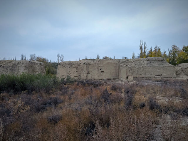 北庭西大寺遺址｜北庭高昌回鶻佛寺遺址。