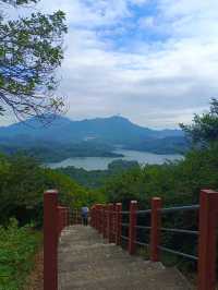 週末打卡‖淘金山綠道。