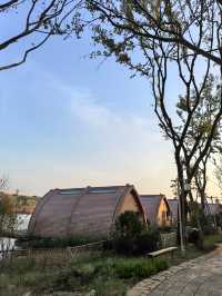 最近不忙，去趟祁陽，來唐家山油茶文化園度假。