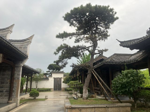 吉安廬陵吉州窯。