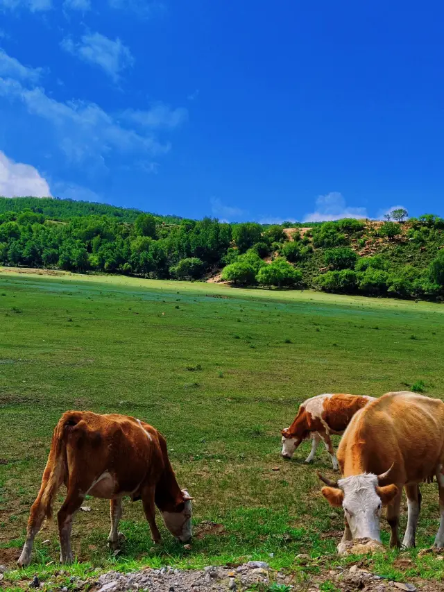 3-Day Autumn Trip to Mulan Paddock and Ulan Butong: A Detailed Guide