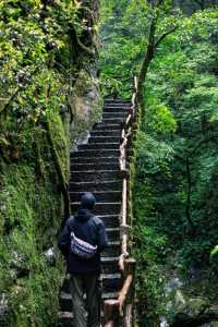 💥震撼預警！哀牢山：地球顏值巔峰，美到…