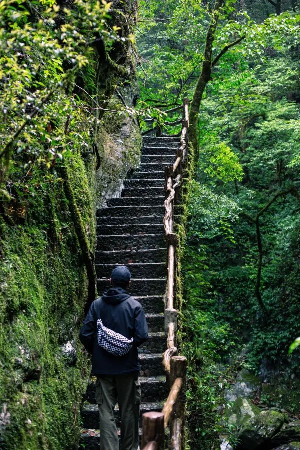 💥震撼預警！哀牢山：地球顏值巔峰，美到…