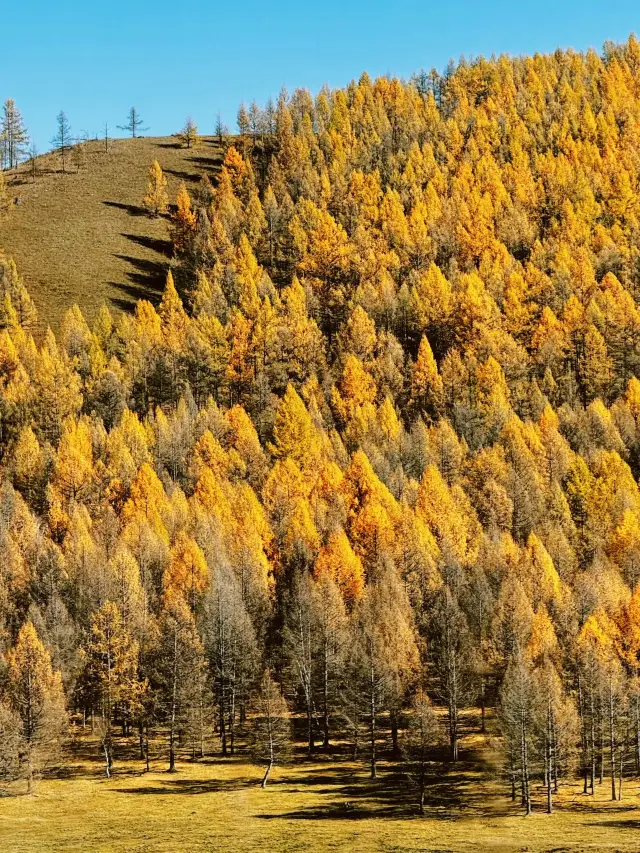 5-Day Autumn Trip to Mongolia | Detailed Itinerary