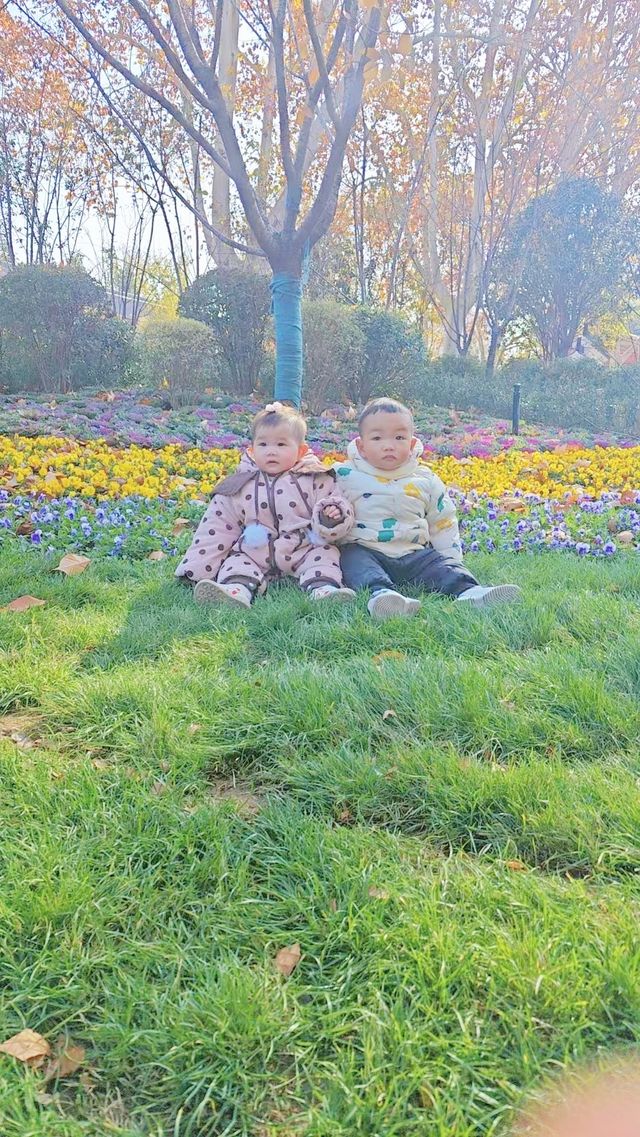 鄭州-碧沙崗公園秋季親子一日遊