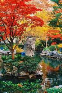 在上海市區的賞秋地圖當中，這是一個頗為冷門的小公園。