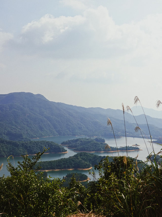 大欖郊野公園｜麥理浩徑第十段千島湖清景台