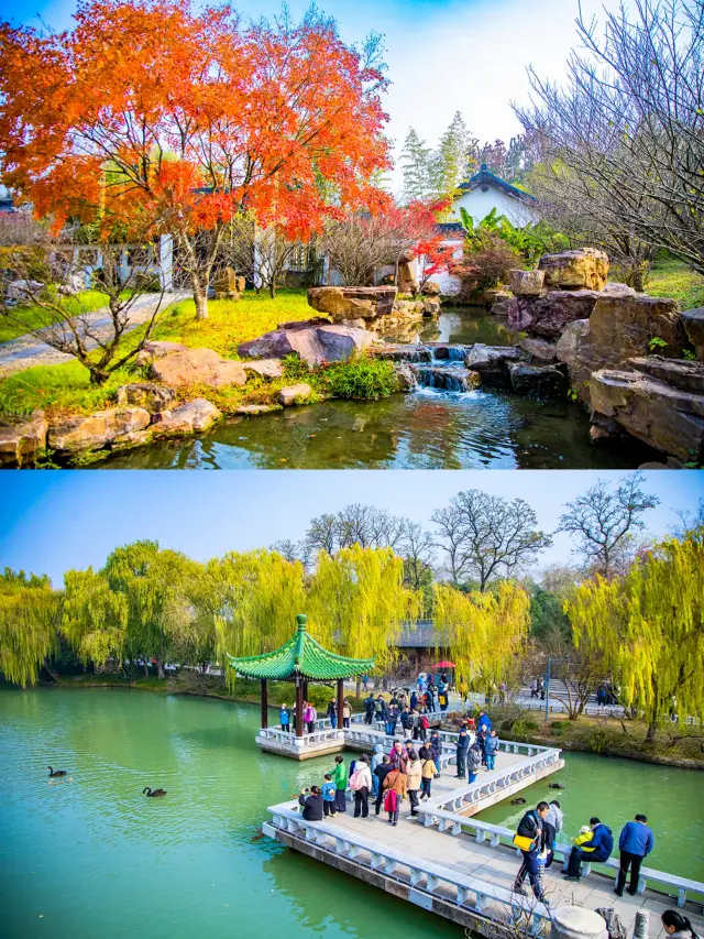 Winter Wonderland! The Red Maple Feast at Slender West Lake in Yangzhou is a Must-See