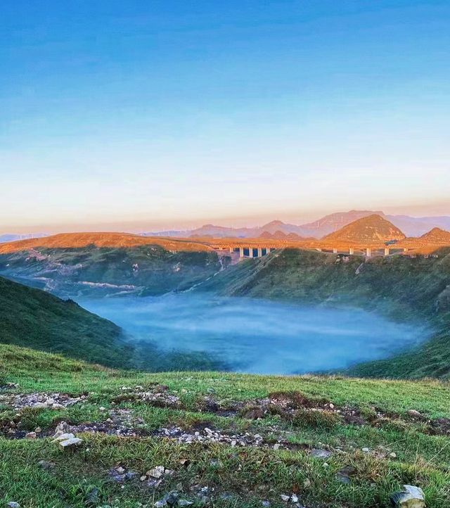 天啊，美得令人窒息！天上花海，貴州雲上屋脊