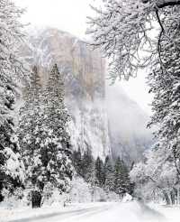秦嶺雪國專列：邂逅冬日奇境的夢幻車票