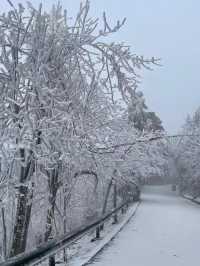 廣東出發3大賞雪寶藏城市！快記下！
