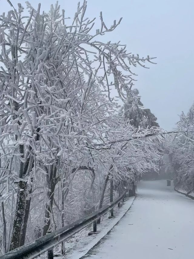 廣東出發3大賞雪寶藏城市！快記下！