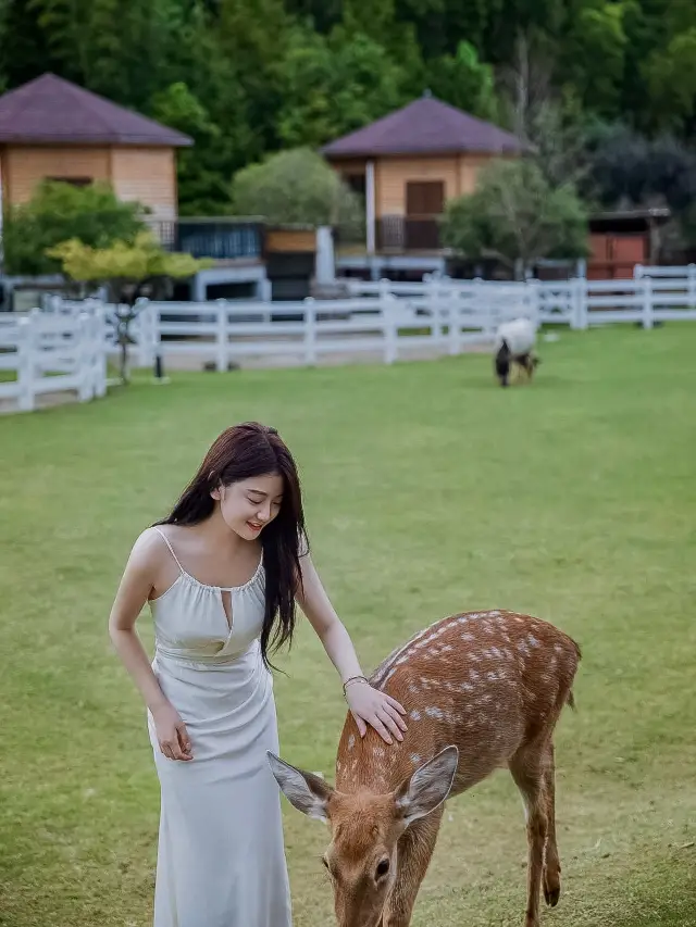 Life advice!!! A must-visit ranch in Anji!!