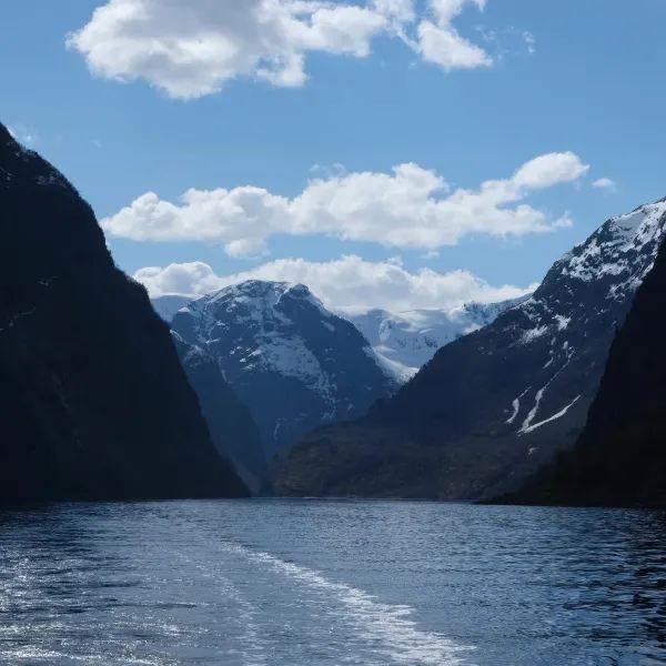 Norway in a Nutshell: Experience the Majestic Fjords